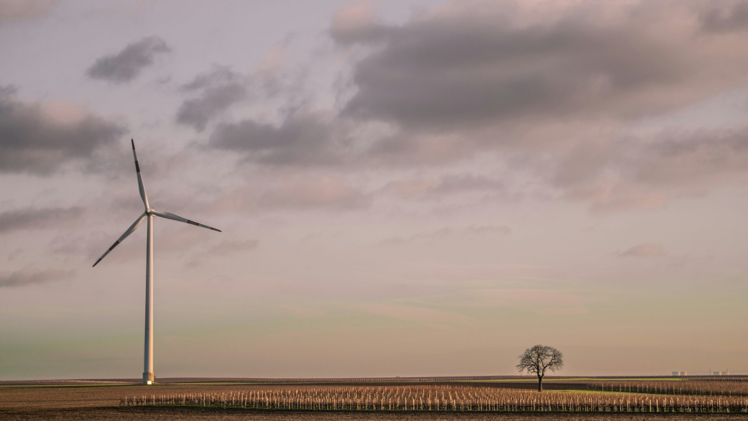 Wind Energy